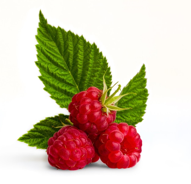 Ripe raspberry with leaf