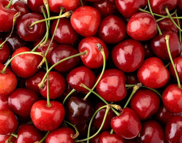 Ripe red cherries