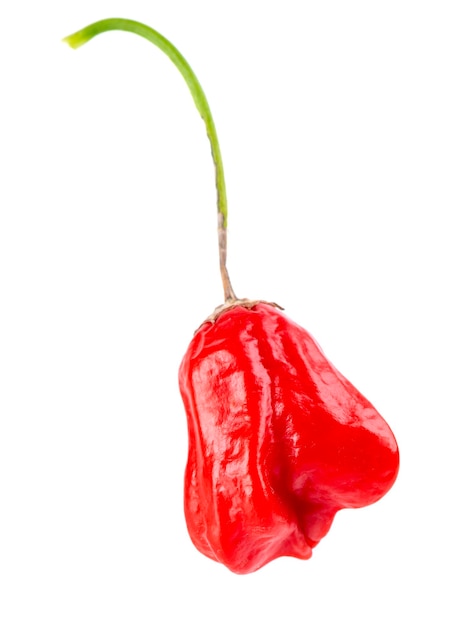 Ripe red chili pepper isolated on a white background Capsicum baccatum or Bishop's crown pepper