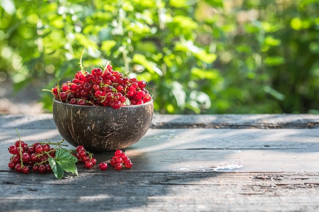 Ripe red currant berries in a bowl  on a rustic wooden background