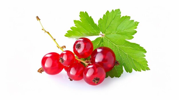 Ripe red currant with green leaf isolated on white background