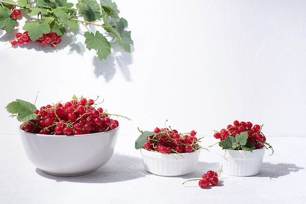 Ripe red currants in bowls and a branch on a white background in sunlight, close up.