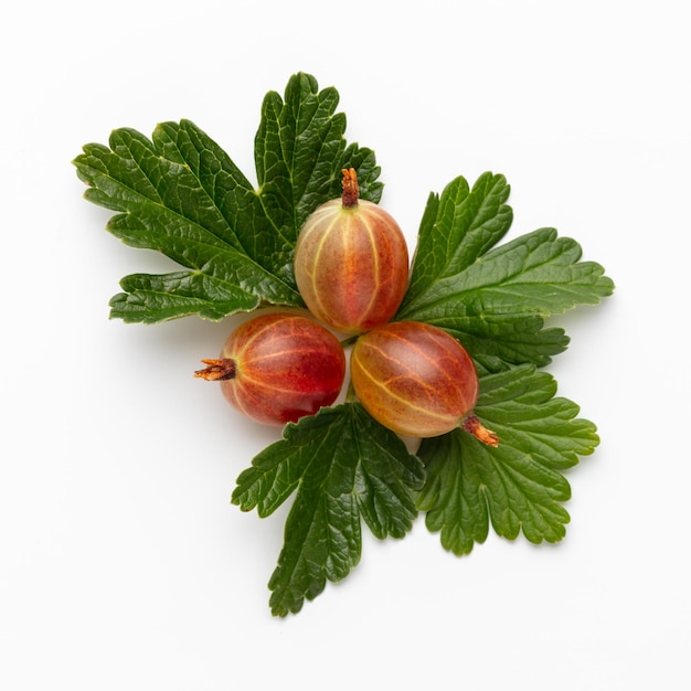 Ripe red gooseberry berry with gooseberry leaf isolated on white background