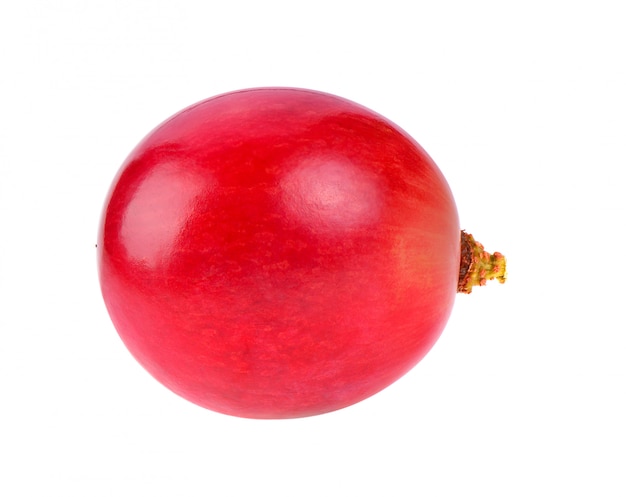 Ripe red grape. One berry isolated