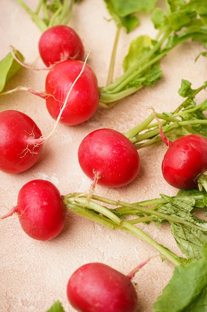 Ripe red radish with green leaves on a beige background fresh red radish Space for text closeup