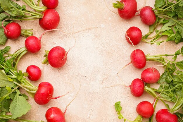 Ripe red radish with green leaves on a beige background fresh red radish Space for text closeup