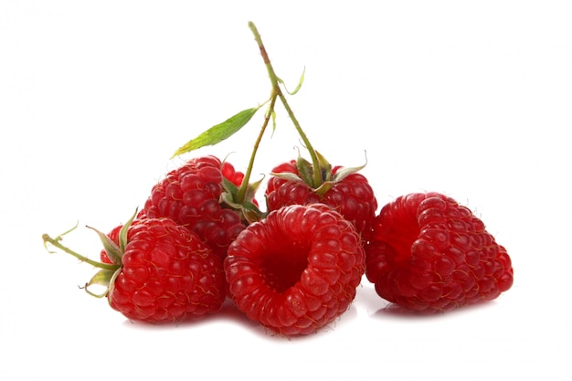 Ripe red raspberry