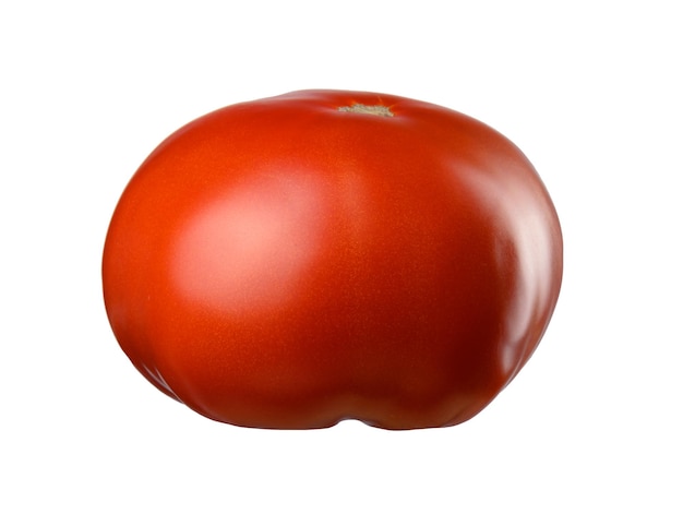 Ripe red tomato on a white background Autumn harvest