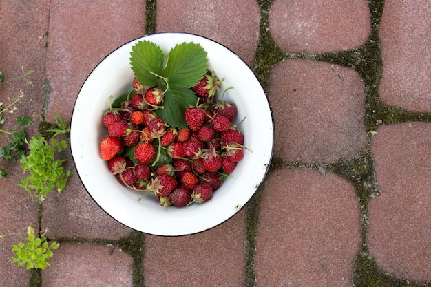 Ripe strawberries in a broom bowl harvesting strawberries Summer concept