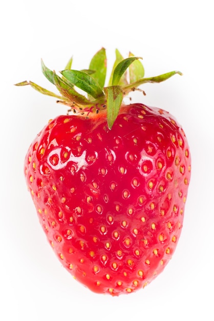 Ripe strawberries on a white background macro closeup