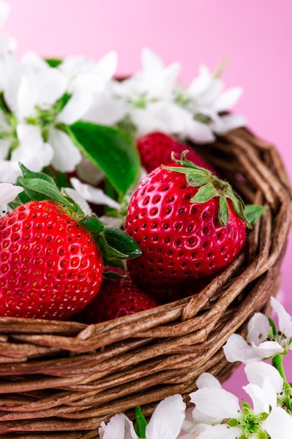 Ripe strawberries and white flowers lie in a wicker basket on a pink background