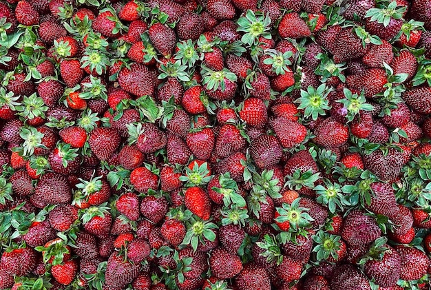 Ripe strawberry background texture Selective focus