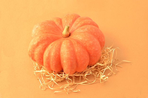 ripe strawberry pumpkin isolated with straw