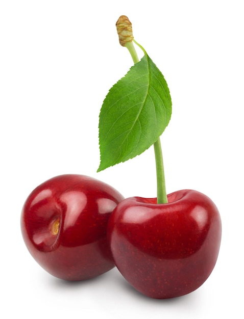 Ripe sweet cherries and cherry slices with leaf isolated on white background