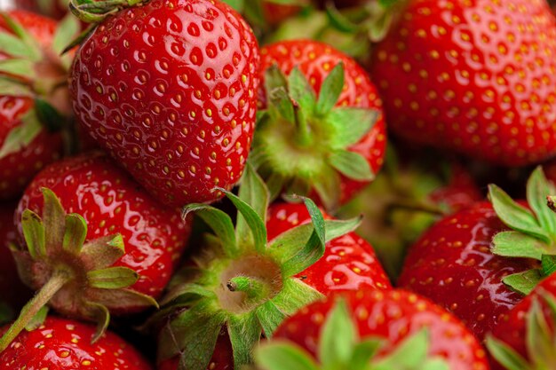 Ripe sweet strawberries. Summer ripe berries. Close up.