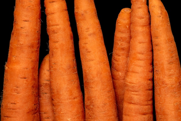 Ripe vegetable root vegetable carrot on black background