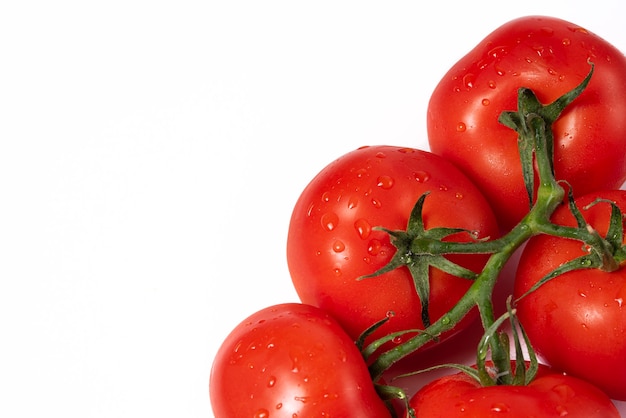 Ripe wet tomatoes closeup isolated on a white background Bunch of tomatoes