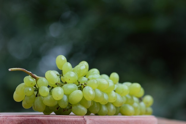 Ripe white grapes on a wooden board Shine Muscat Grape on blurred background on wooden table Closeup