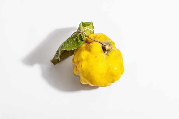 Ripe whole quince isolated on white background. Single fresh fruit, an essential ingredient for a healthy food. Trendy hard light, dark shadow