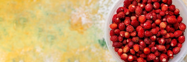 Ripe wild strawberries in a bowl Natural berries are a source of vitamins and are good for healthFresh Organic StrawberriesSummer harvesting concepthealthy detox food