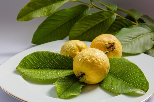 Ripe yellow fruits and leaves of guava on a white background