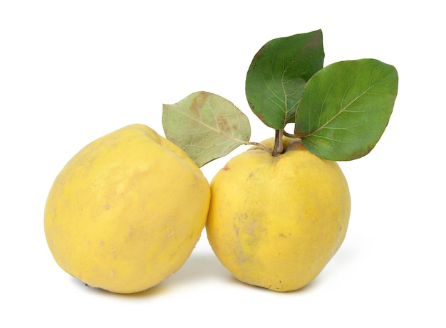 Ripe yellow quince fruits isolated on white background