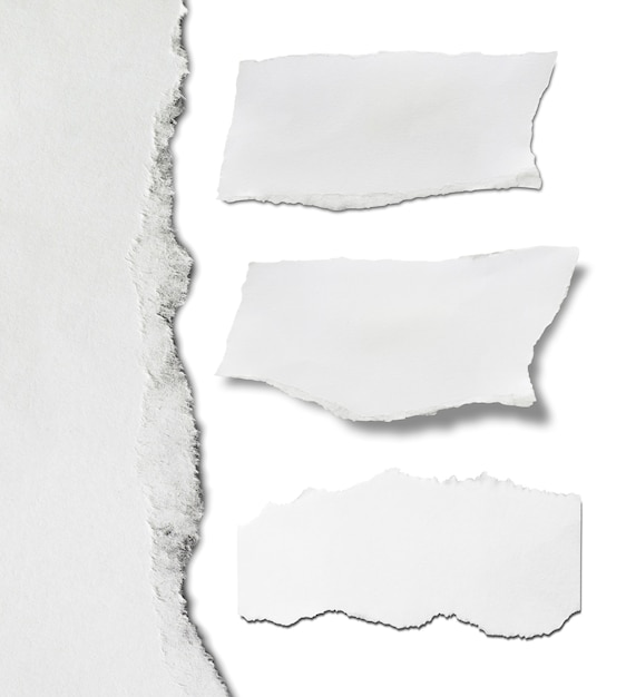 ripped paper on white background and have copy space for design in your work