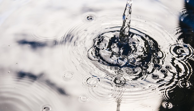 Ripples on the surface of water