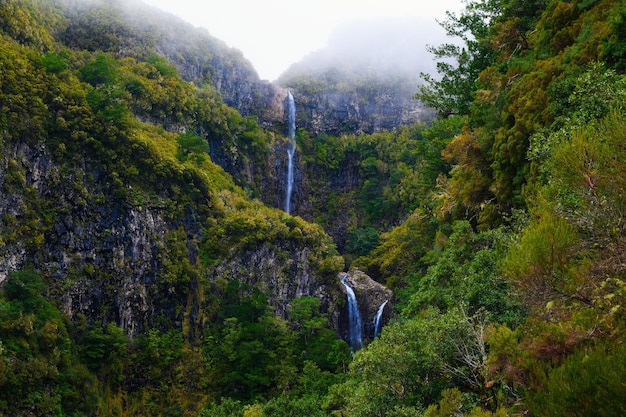 Risco waterfall in the madeira islands portugal