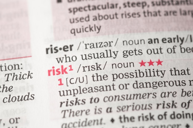 Risk definition