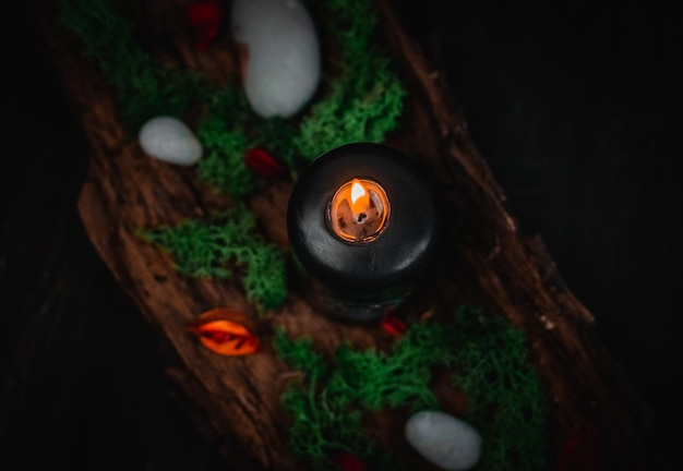 Ritual black candle green moss candle dried flowers and stones in tree bark on black