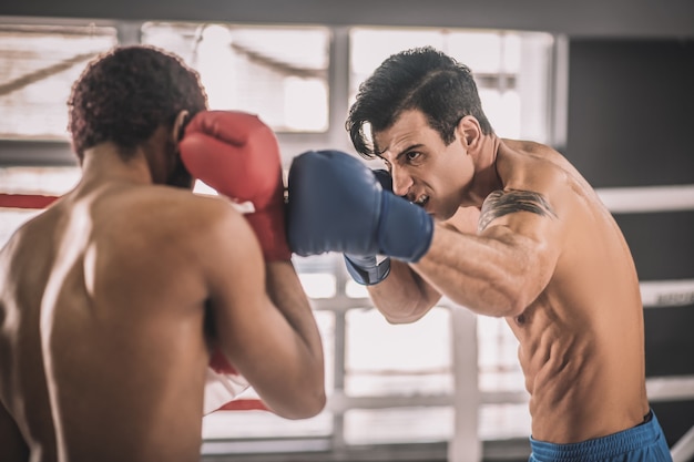 Rivalry. Two rivals having a fight on a boxing ring and looking aggressive