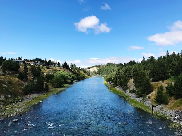 Photo river amidst trees in forest against blue sky