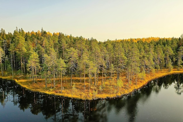 river autumn view from drone forest, landscape panorama aerial view