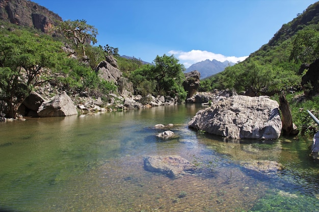 The river in Ayhaft Canyon Socotra island Indian ocean Yemen