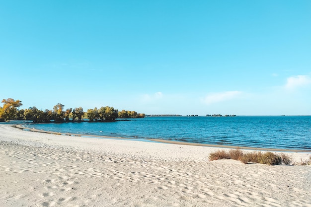 River beach landscape with blue water and green trees