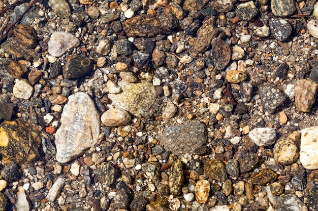 River Bed - Stones beneath the clear water of a river