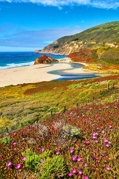 River of blue water meets the ocean next to spring fields of pink flowers