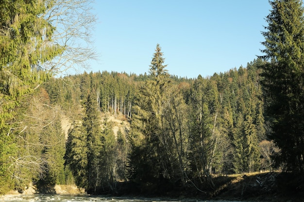 River in Carpathian mountains in sunny day