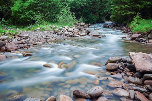 River deep in mountain forest