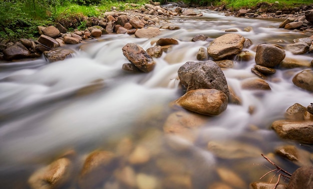 River deep in mountain forest