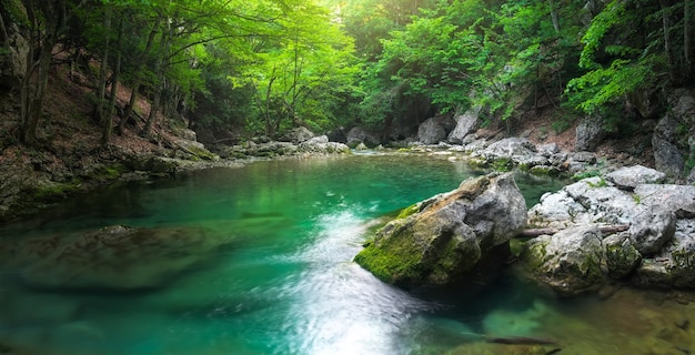 River deep in mountain at summer. Water stream at forest. Panorama