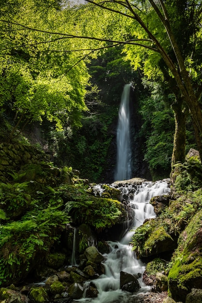 River flowing between rocks and green vegetation sacred waterfall  within the green forest