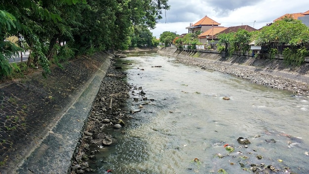 A river flowing through a dense jungle