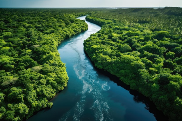 River Flowing Through The Heart Of Lush Rainforest Featuring Numerous Green Tropical Trees Capture