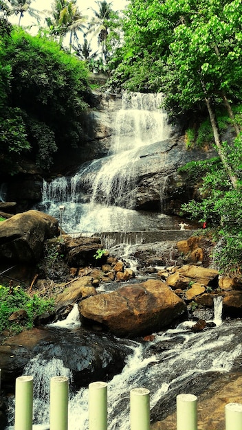 River flowing through rocks