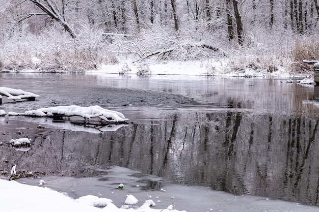 The river flows in the cold winter forest Winter river landscape Blurred focus