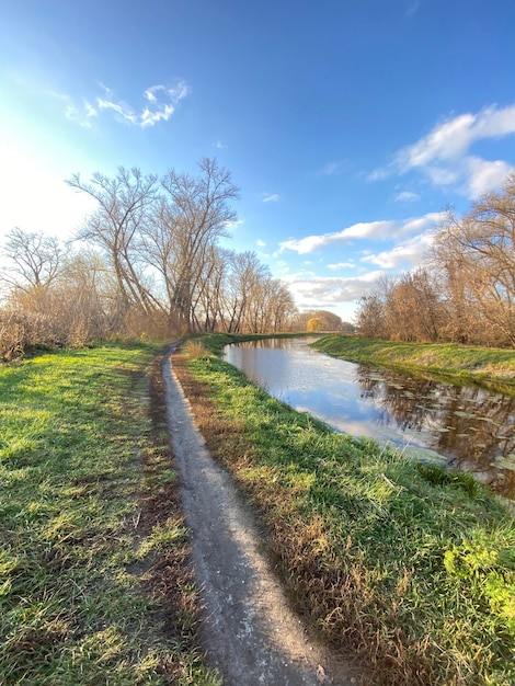 The river flows past the autumn trees the blue sky