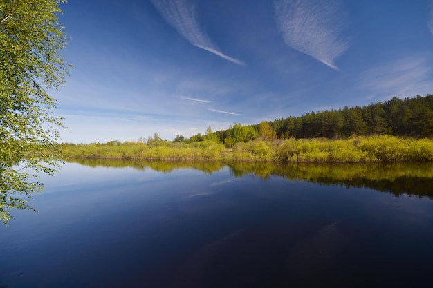 The river flows in the spring among the woods