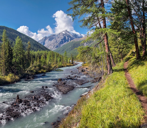 The river flows through a picturesque valley in the Altai Mountains	